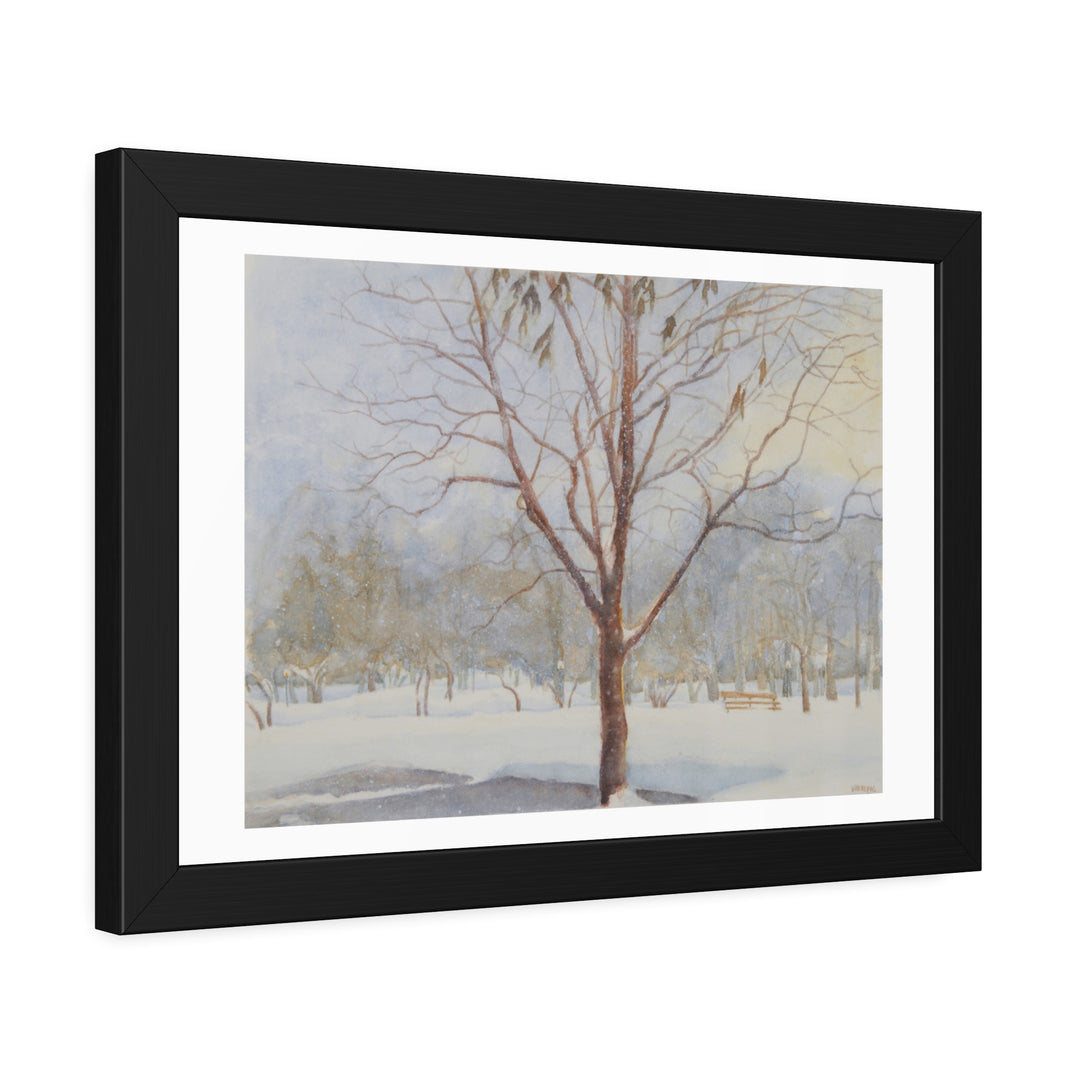 Westmount Park, Quebec: Framed winter artwork with a bare tree in sleek black frame. - Bromont Media