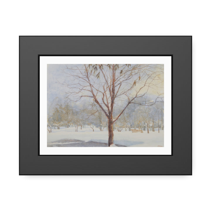 Elegant framed painting of a serene winter scene in Westmount Park, Quebec, featuring a central bare tree and snowy surroundings. - Bromont Media