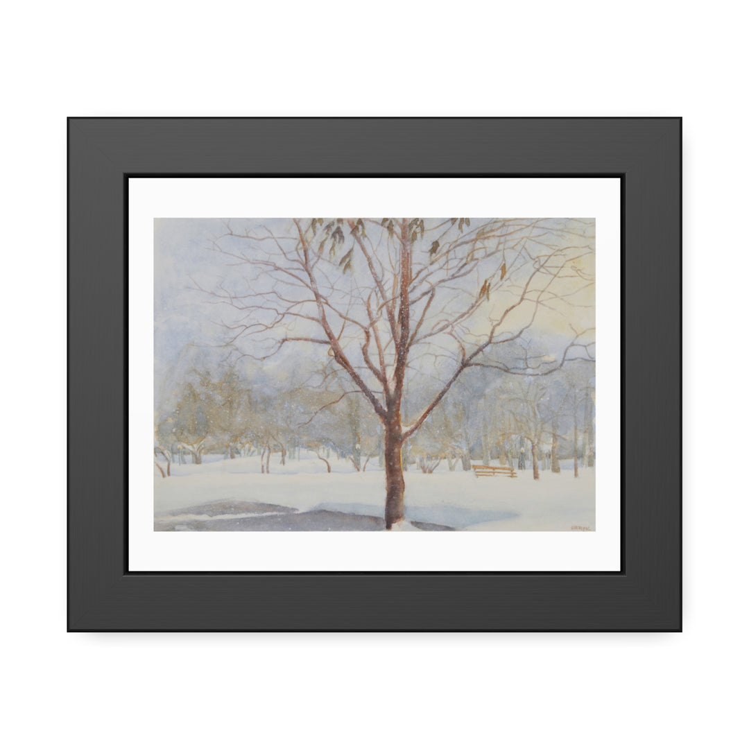 Framed winter landscape artwork of Westmount Park in Quebec, highlighting a bare tree surrounded by peaceful, snow-covered scenery. Set in a sophisticated dark gray frame with a clean white mat, this piece exudes elegance and tranquility, ideal for enhancing any living or workspace decor.