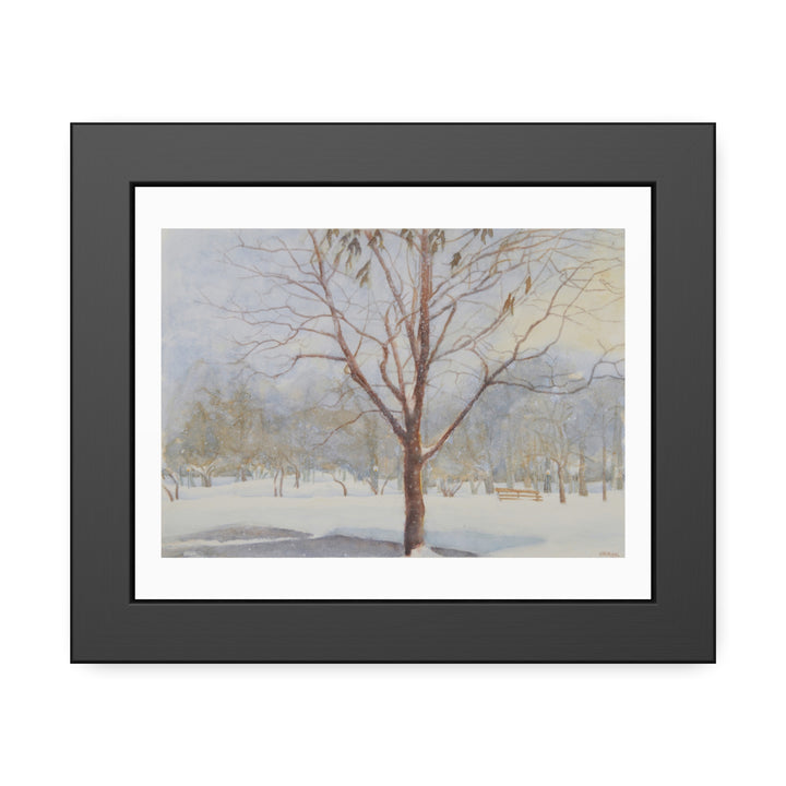 Framed winter landscape artwork of Westmount Park in Quebec, highlighting a bare tree surrounded by peaceful, snow-covered scenery. Set in a sophisticated dark gray frame with a clean white mat, this piece exudes elegance and tranquility, ideal for enhancing any living or workspace decor.